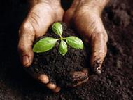 طرح جابر ترکیبات خاک و تاثیر آن بر رشد گیاهان قابل استفاده برای همه پایه های ابتدایی (فایل ورد )